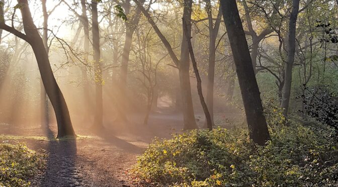 Winter warm-up Newsletter + AGM